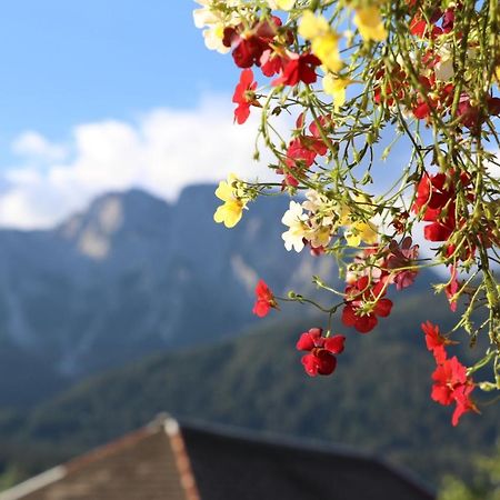 Goderschach Fewo Baurechthof 아파트 외부 사진